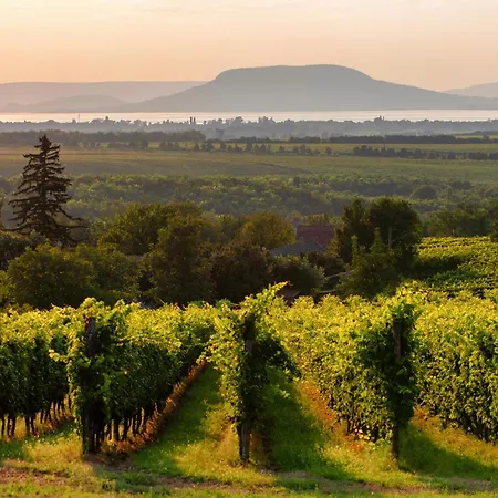 Apartament In 38010 Balatonboglár