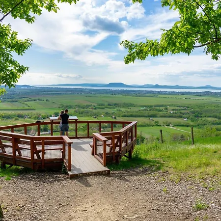 In 38010 Balatonboglár