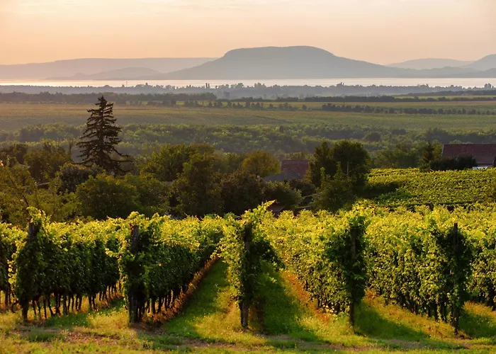 Apartament In 38010 Balatonboglár